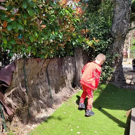 Mobile-Home Hyeres Var Climatise Dans Camping Avec Piscine Jusqu'A 6 Personnes Buitenkant foto