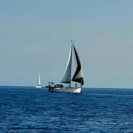 Mobile-Home Hyeres Var Climatise Dans Camping Avec Piscine Jusqu'A 6 Personnes Buitenkant foto